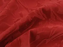 Focus (red)